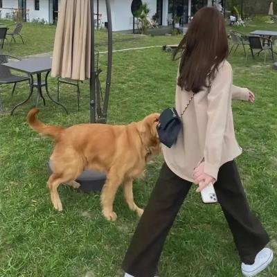 米佐的复仇